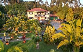 Homeoffice Madeira - Coliving & Coworking With A Nice Community